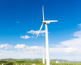 風力發電的環保悖論 清潔能源為何可能加劇全球變暖？